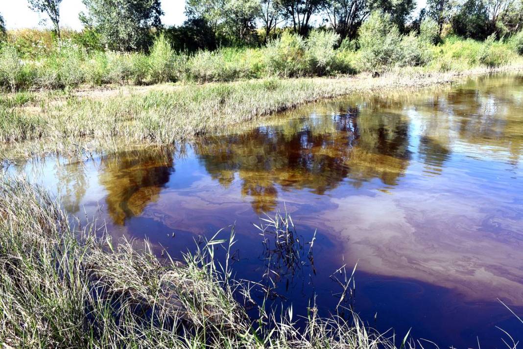 Kızılırmak'ta akaryakıt sızıntısı paniği! Yetkililer harekete geçti, kahreden görüntüler 3